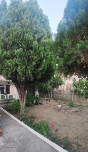 GreyGreen House Vlore